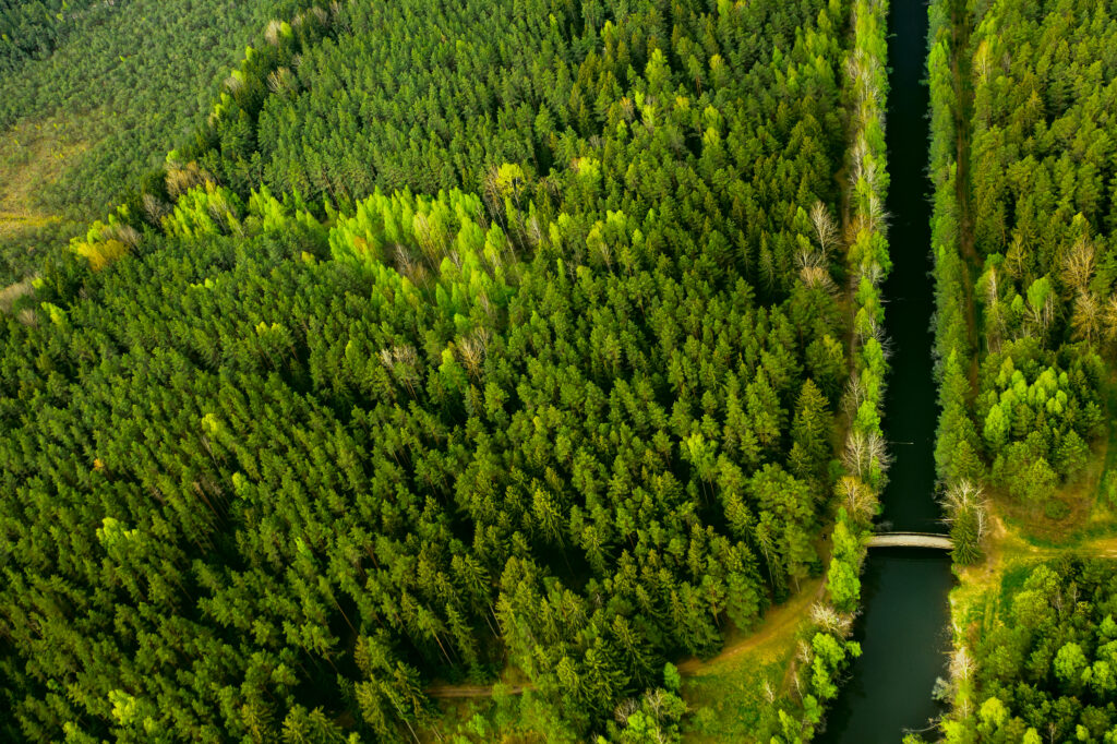 Bird's-eye view of the river and bridge. Forest area with a river in Belarus