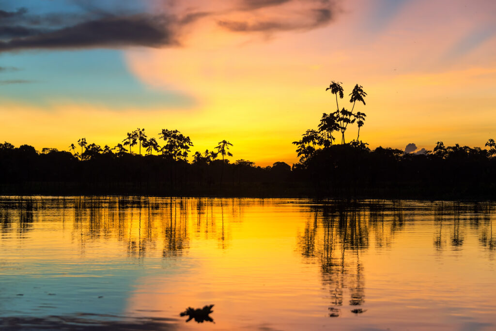 Colorful Amazonian Sunset