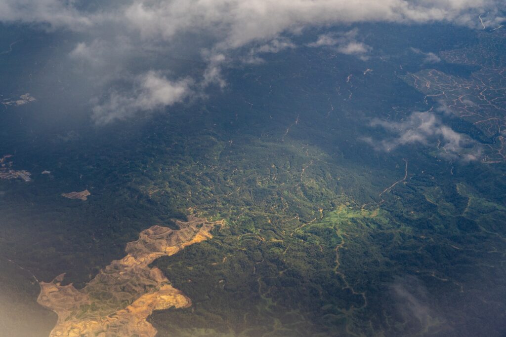 Inpe: desmatamento na Amazônia Legal tem aumento de 21,97% em 2021